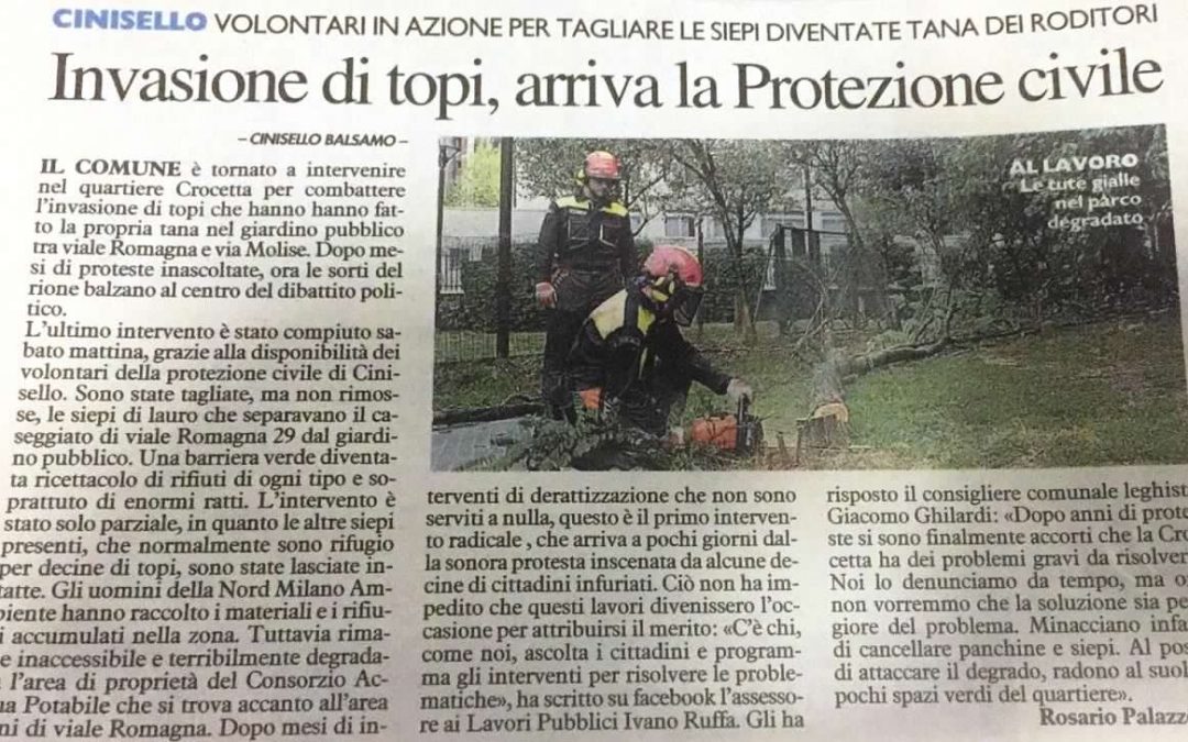 Invasione di topi, arriva la Protezione civile